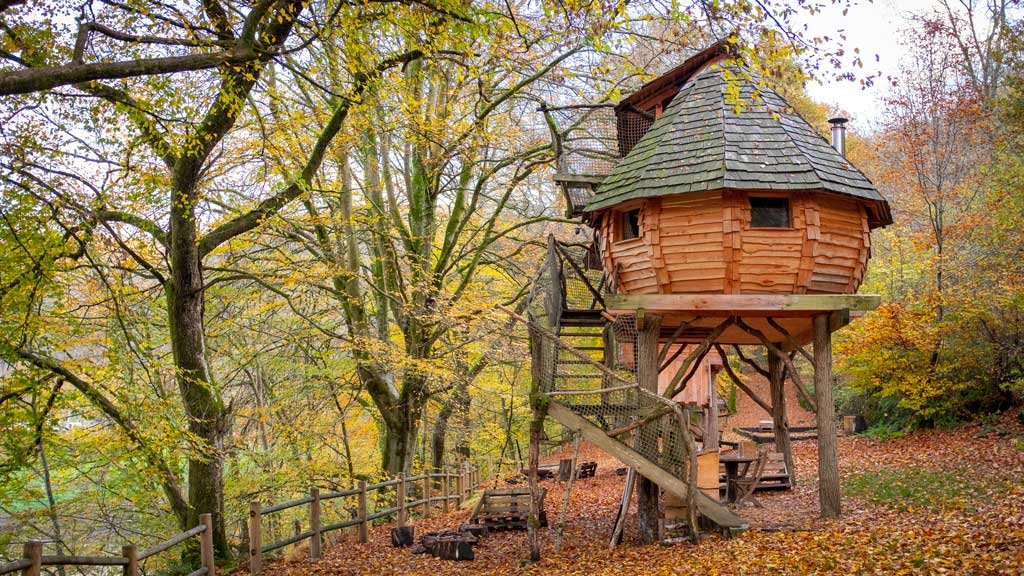 Tree house hotel in fall