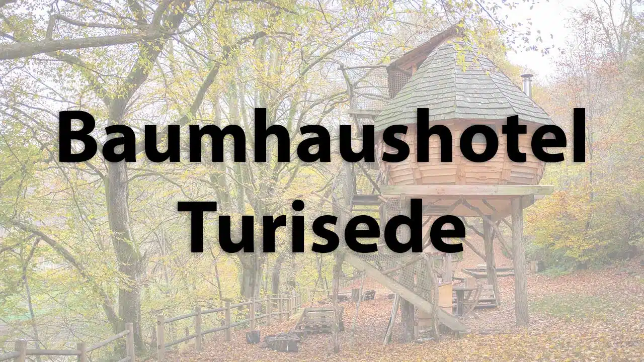 Casa del árbol hotel Turisede
