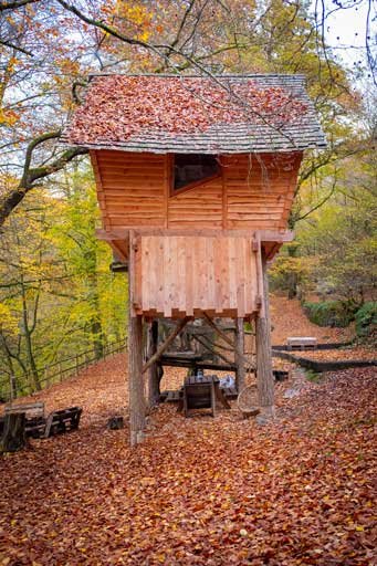 Overnight stay in a tree house