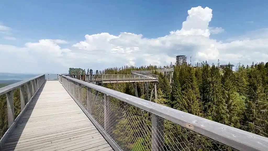 Aussicht vom Baumwipfelpfad Bachledka in der Slowakei