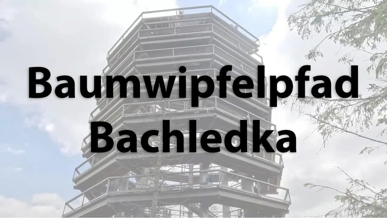 Bachledka treetop walk