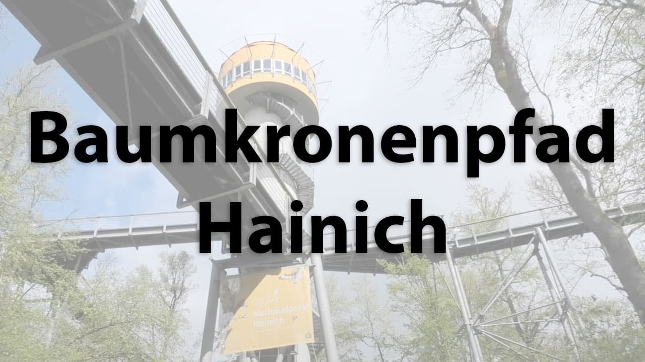 Blick auf den Turm im Baumkronenpfad Heinich