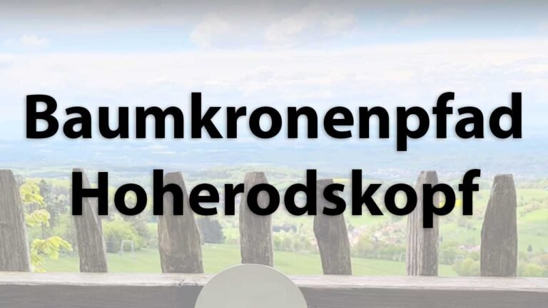 Aussicht vom Baumwipfelpfad Hoherodskopf