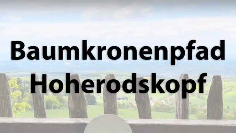 Aussicht vom Baumwipfelpfad Hoherodskopf