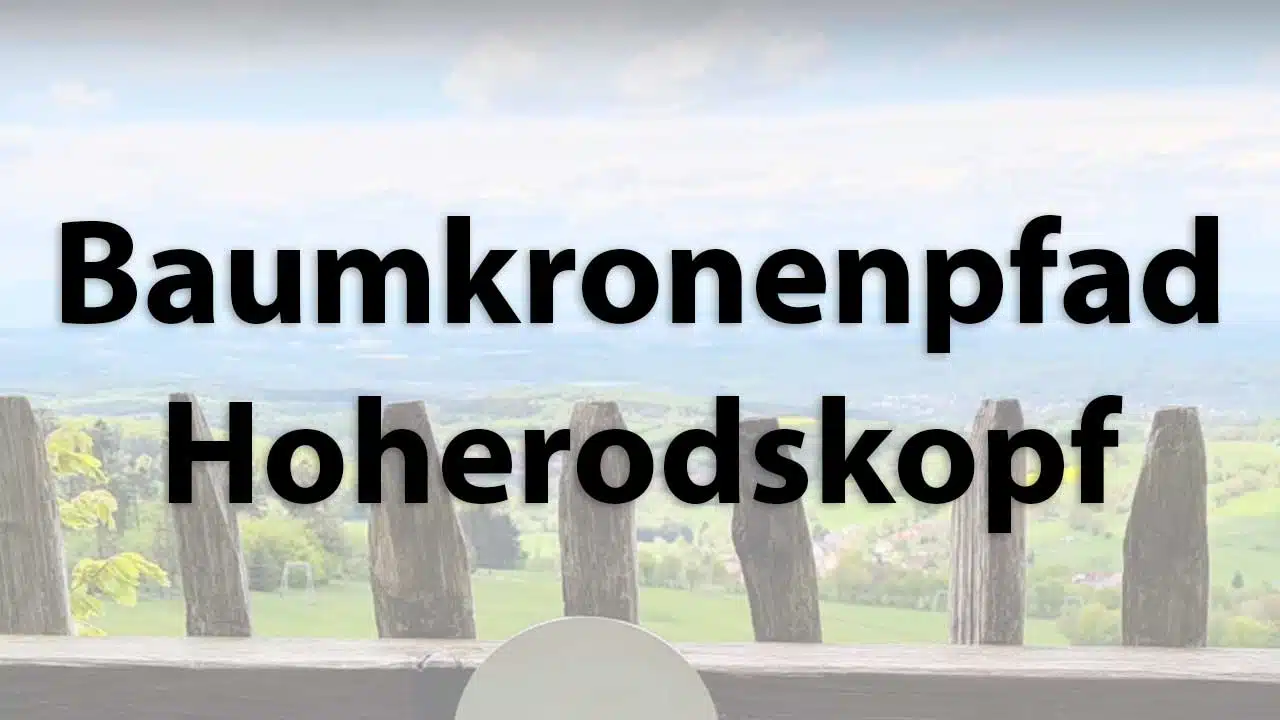 Aussicht vom Baumwipfelpfad Hoherodskopf
