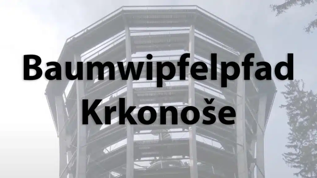Krkonoše treetop walk