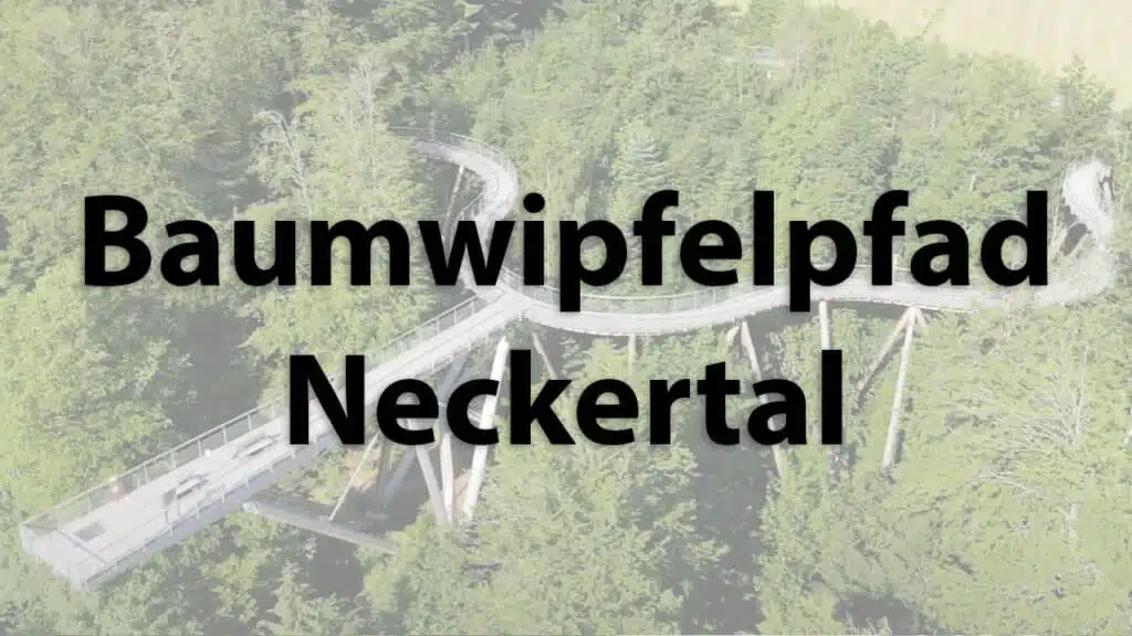 Paseo por las Copas de los Árboles de Neckertal en Suiza