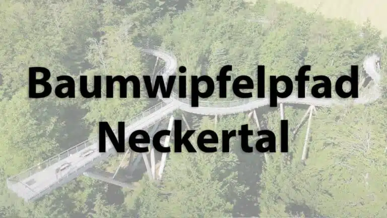 Baumwipfelpfad Neckertal in der Schweiz