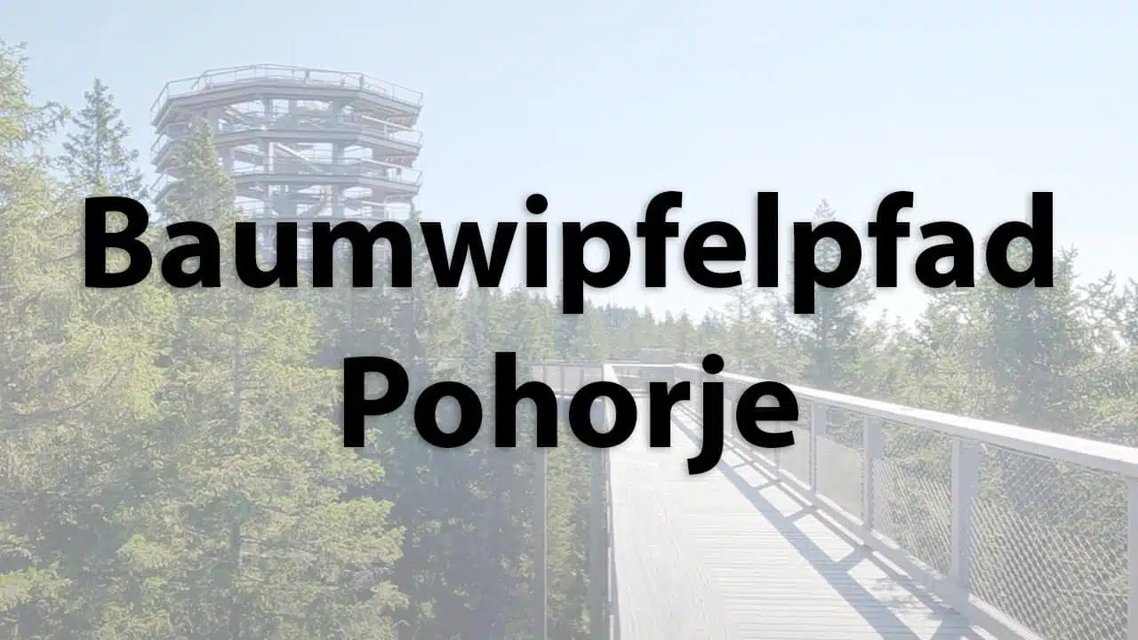 Baumwipfelpfad Pohorje in Slowenien
