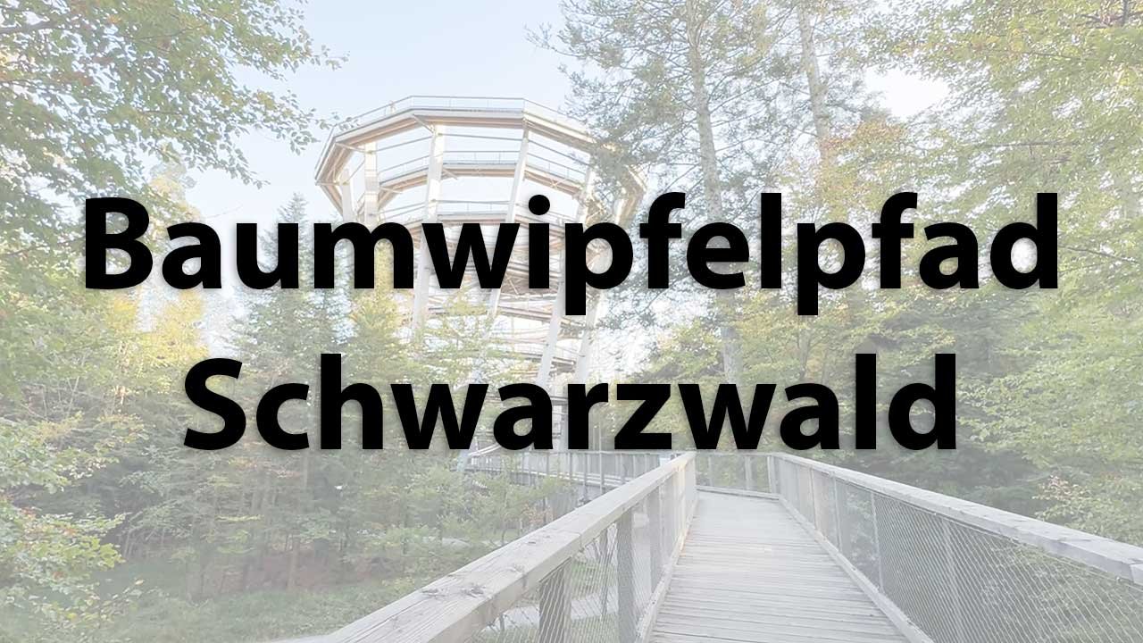 Baumwipfelpfad Schwarzwald Bad Wildbad