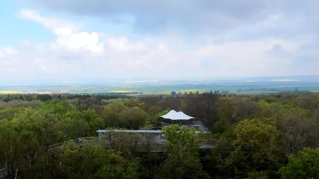 Die Aussicht vom Baumkronenpfad Hainich