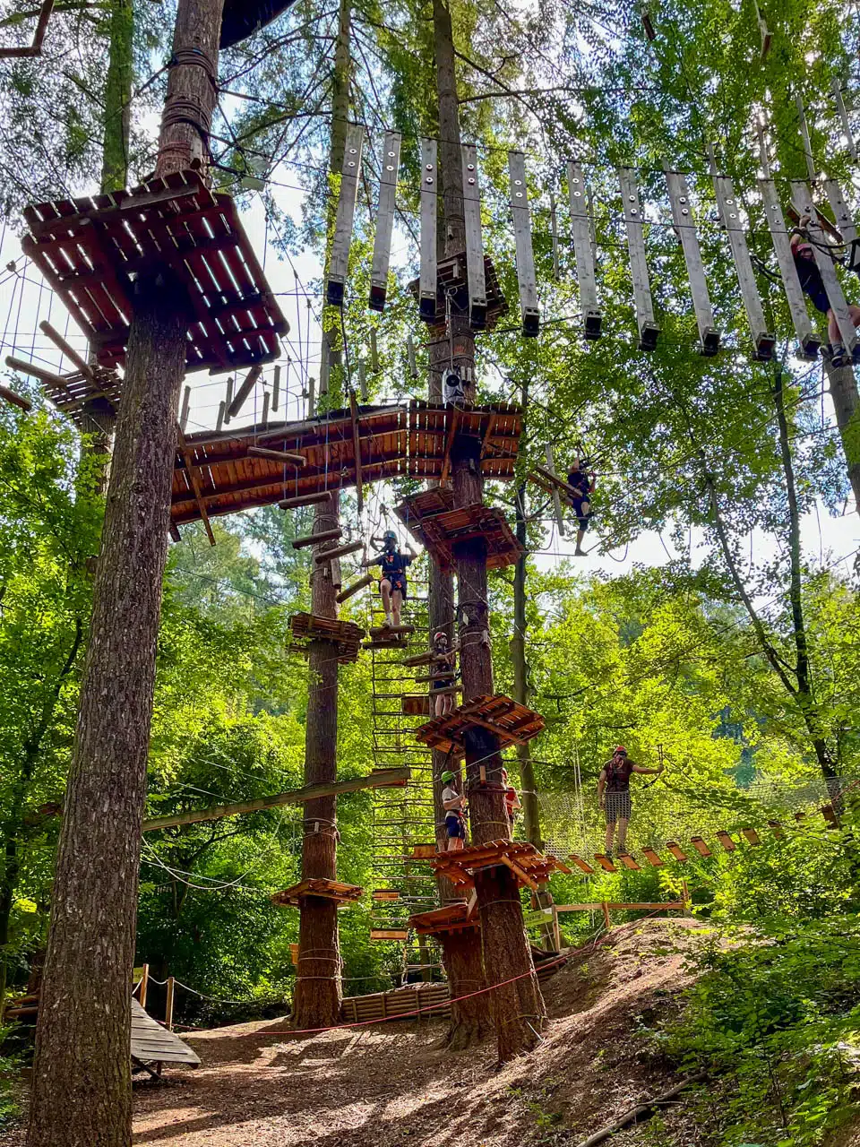 Bild eines Parcours des Kletterwaldes Sayn