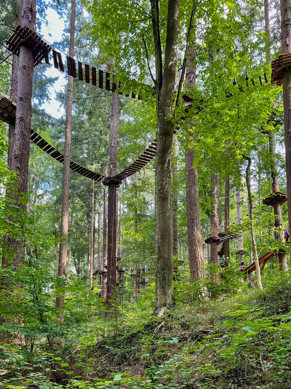 Bild eines Parcours des Kletterparks Sayn