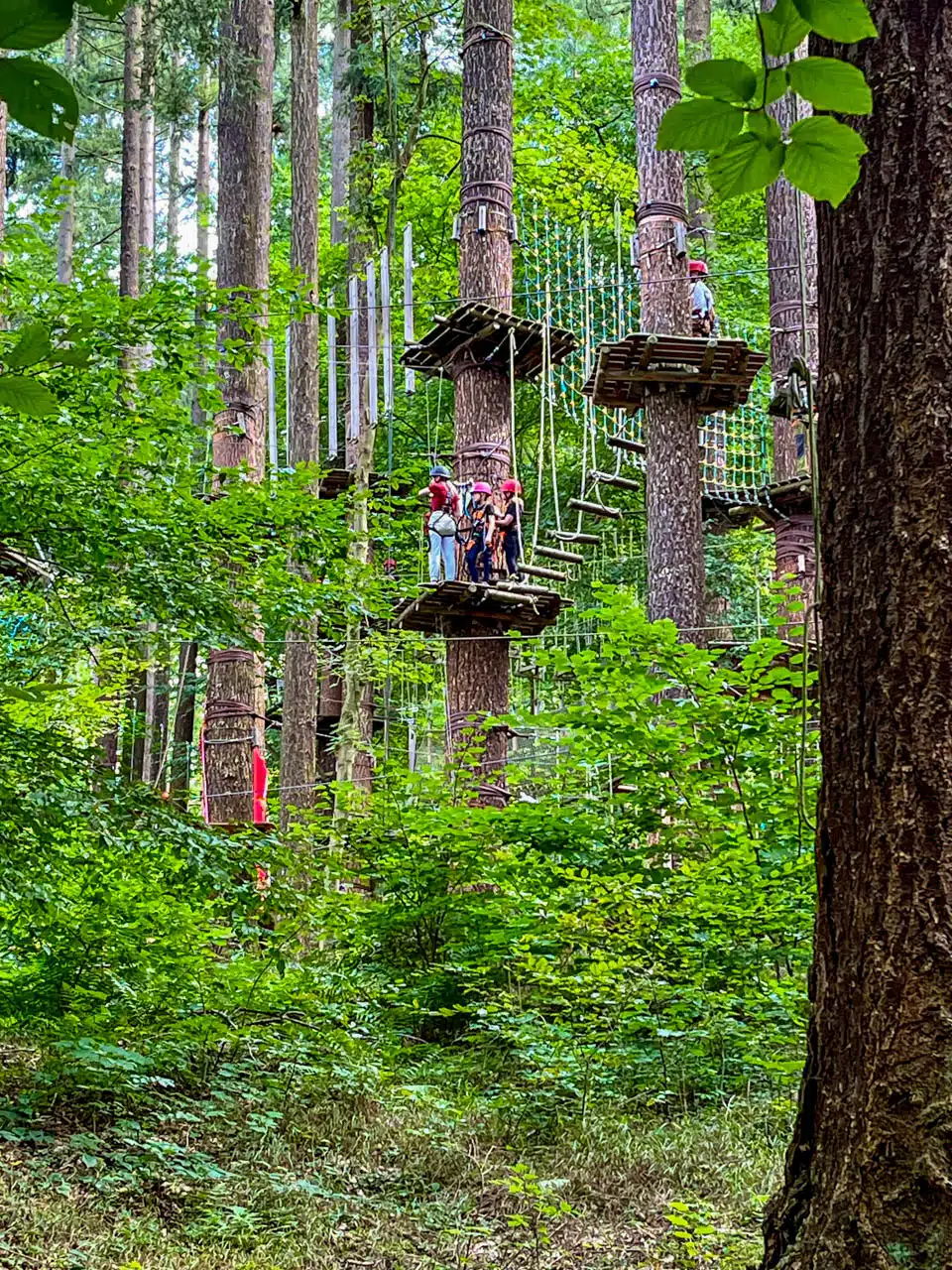 Bild eines Parcours des Kletterwaldes Bendorf Sayn