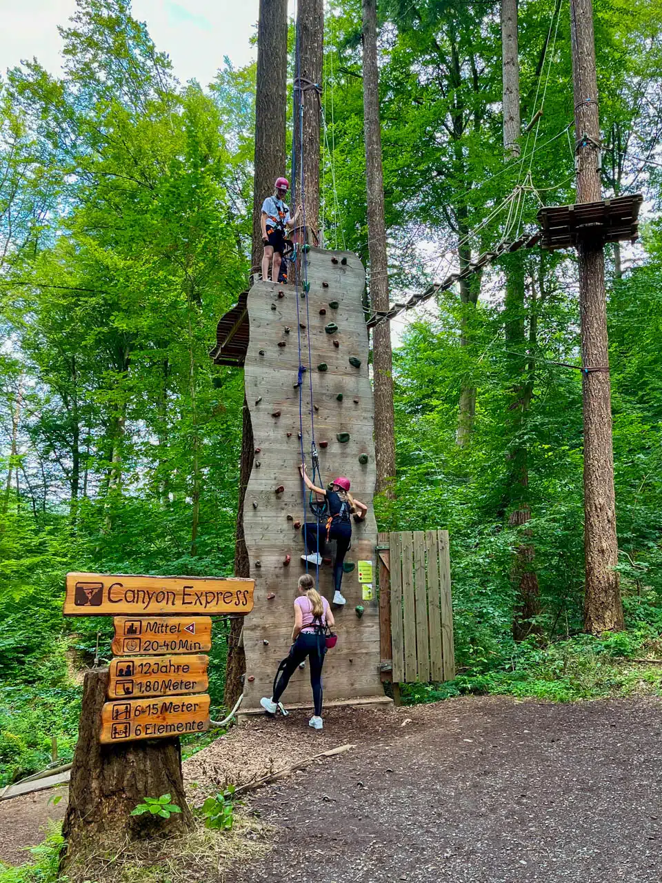 Bild eines Parcours des Kletterwaldes Sayn