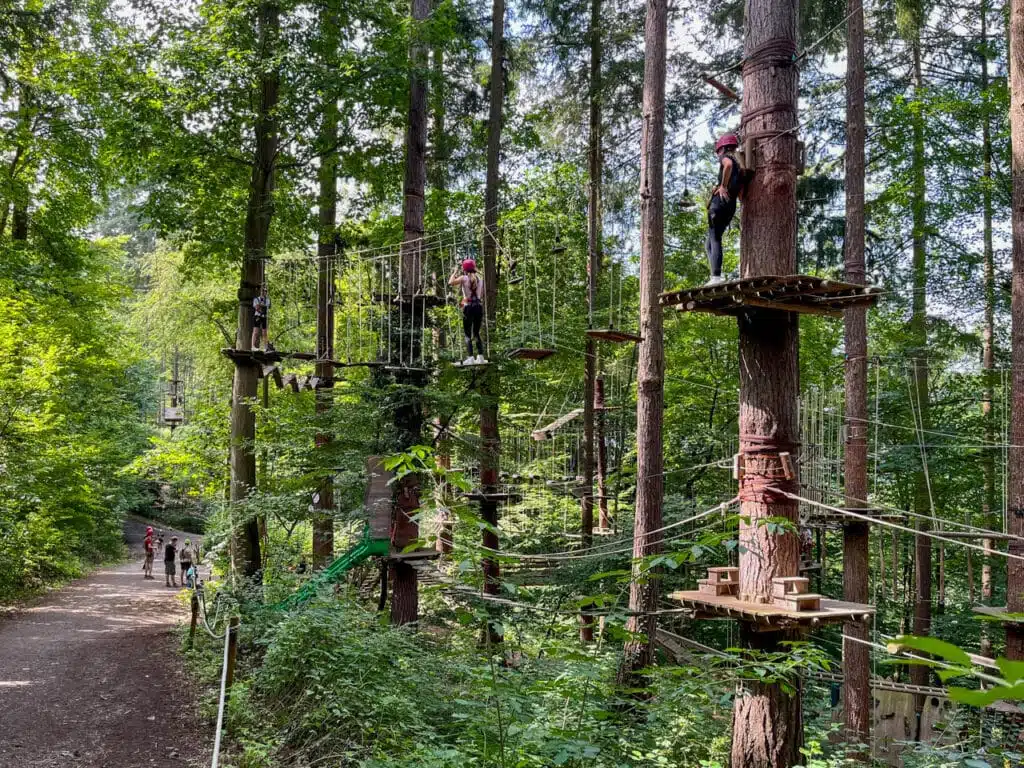 Bild eines Parcours des Kletterwaldes Sayn