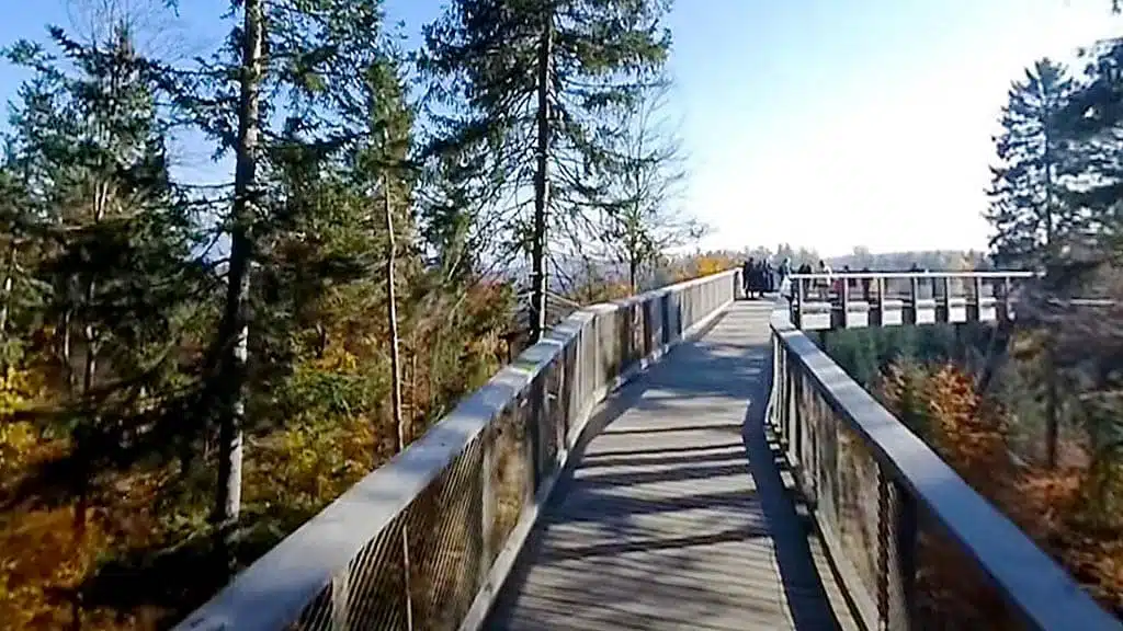Aussicht vom Baumfipfelpfad Krkonose im Riesengebirge in Tschechien