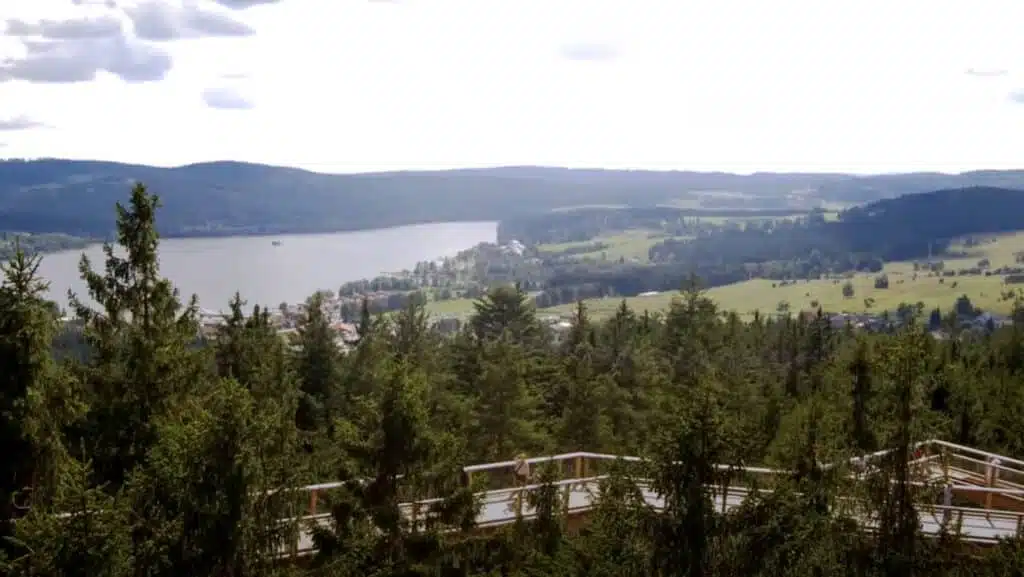 Aussicht vom Baumwipfelpfad Lipno in Tschechien