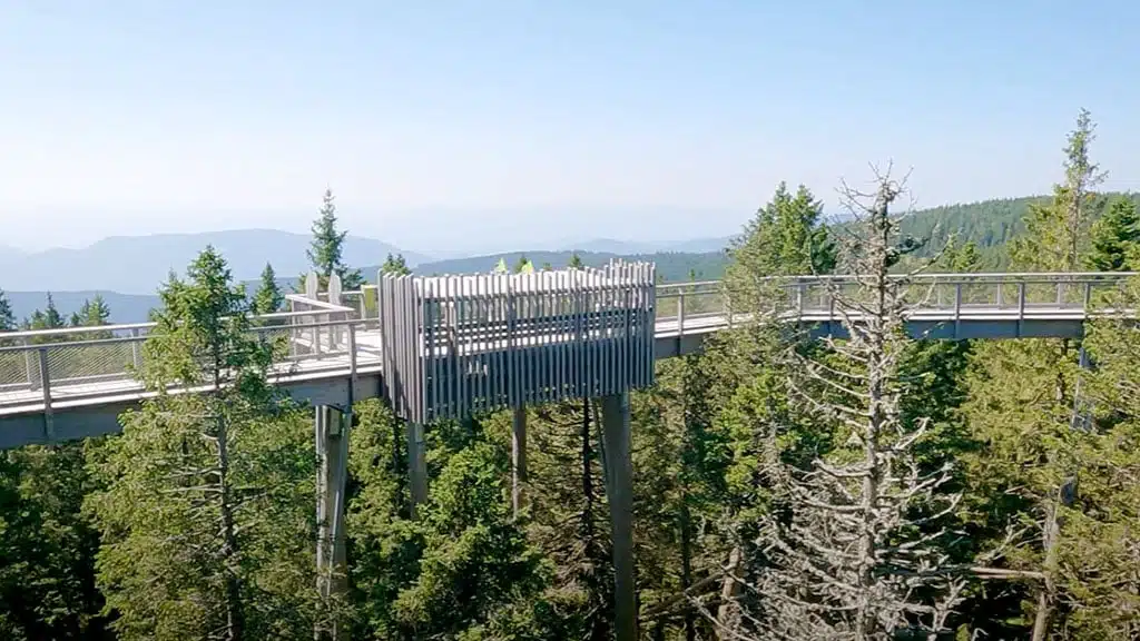 Aussicht im Baumwipfelpfad Pohorje