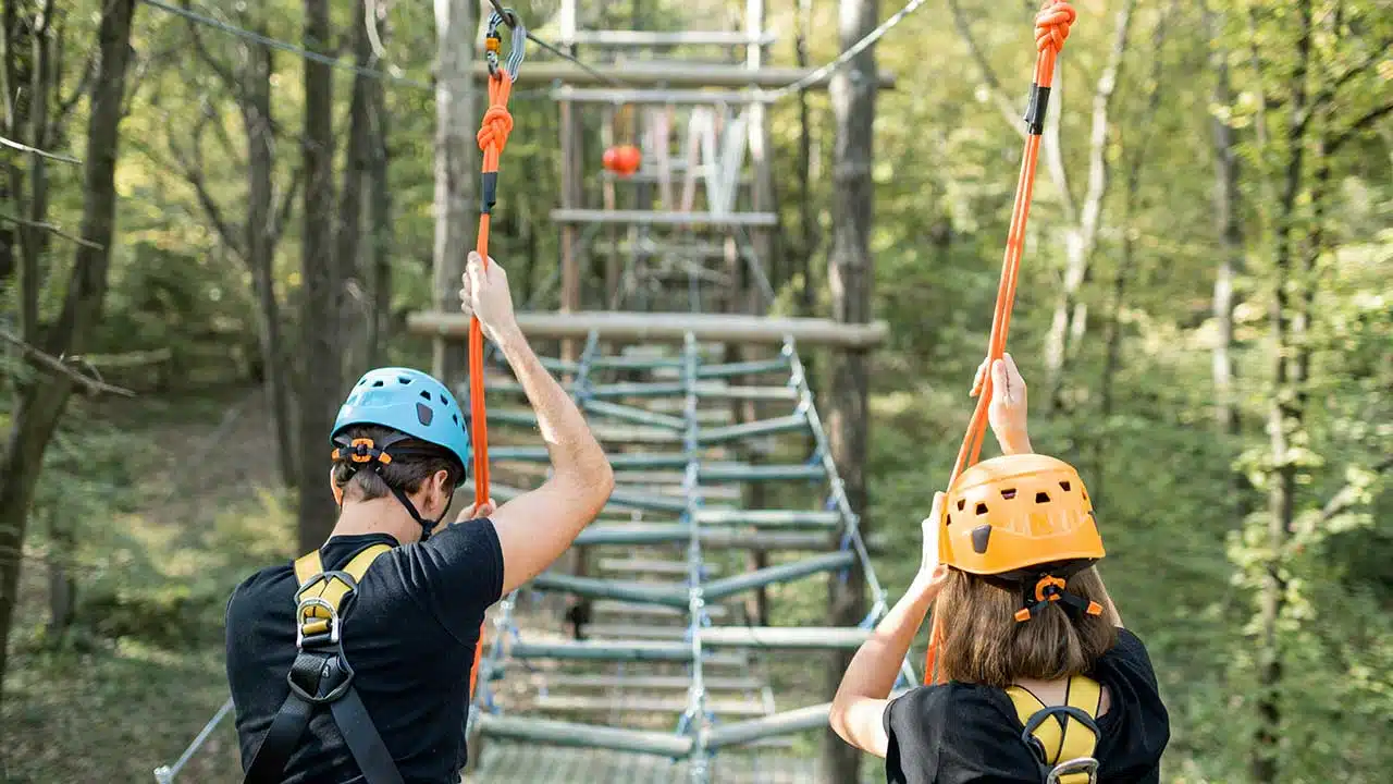 Climbing forests in Germany