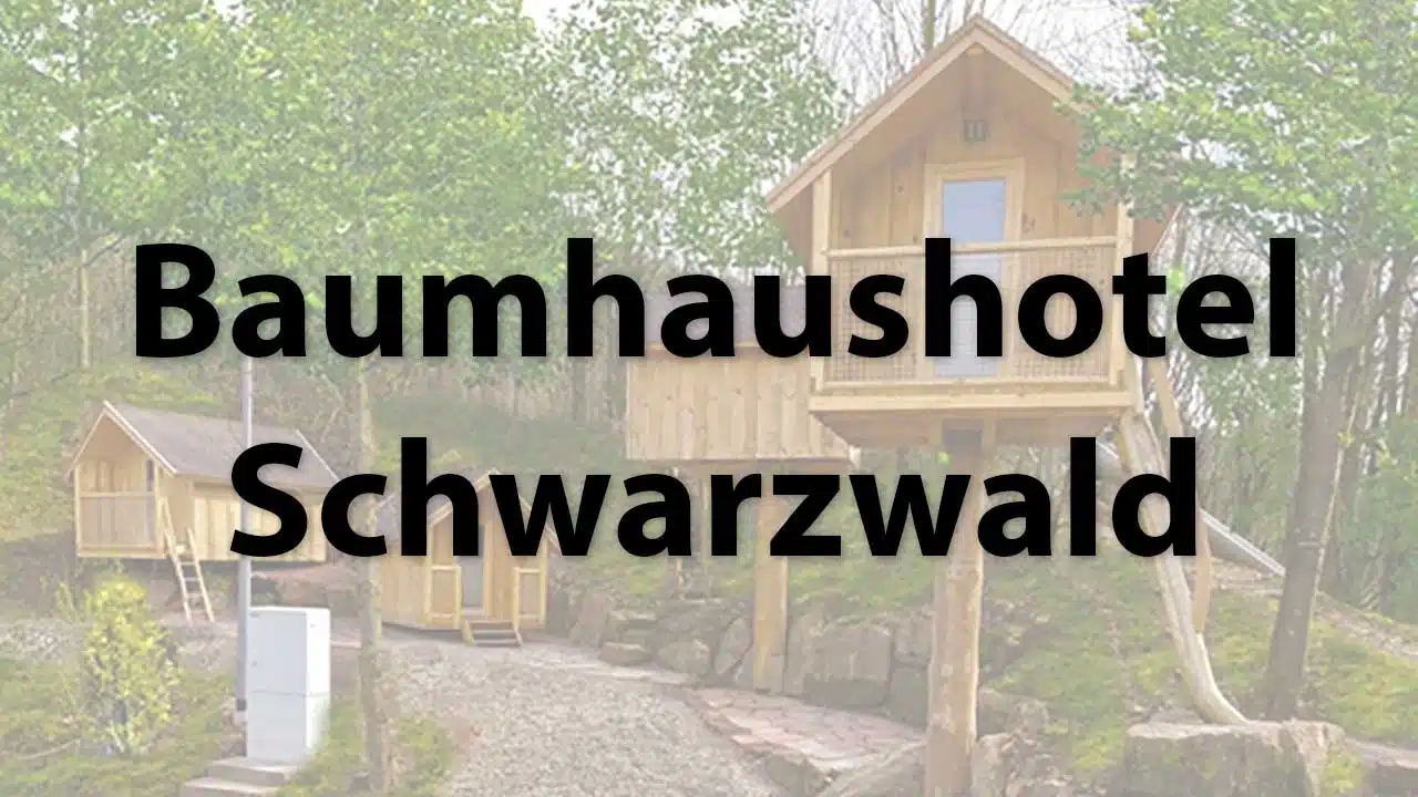 Hotel de casas en los árboles de la Selva Negra en el paraíso vacacional Schwarzwälder Hof