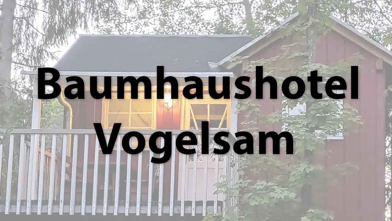 The Vogelsam Treehouse Hotel in Bavaria