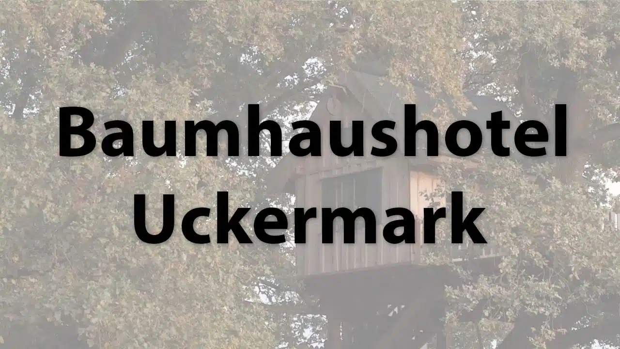 Tree house hotel Uckermark