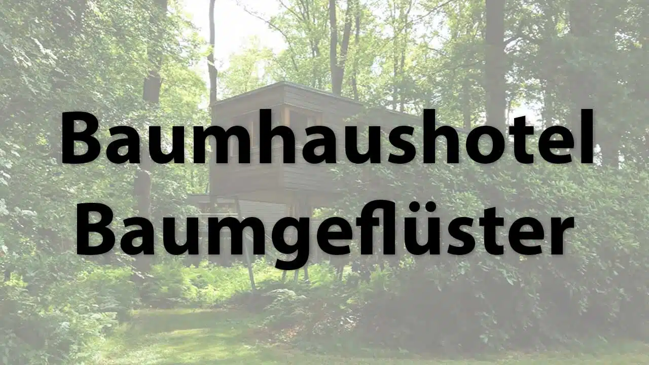Das Baumhaushotel im Resort Baumgeflüster