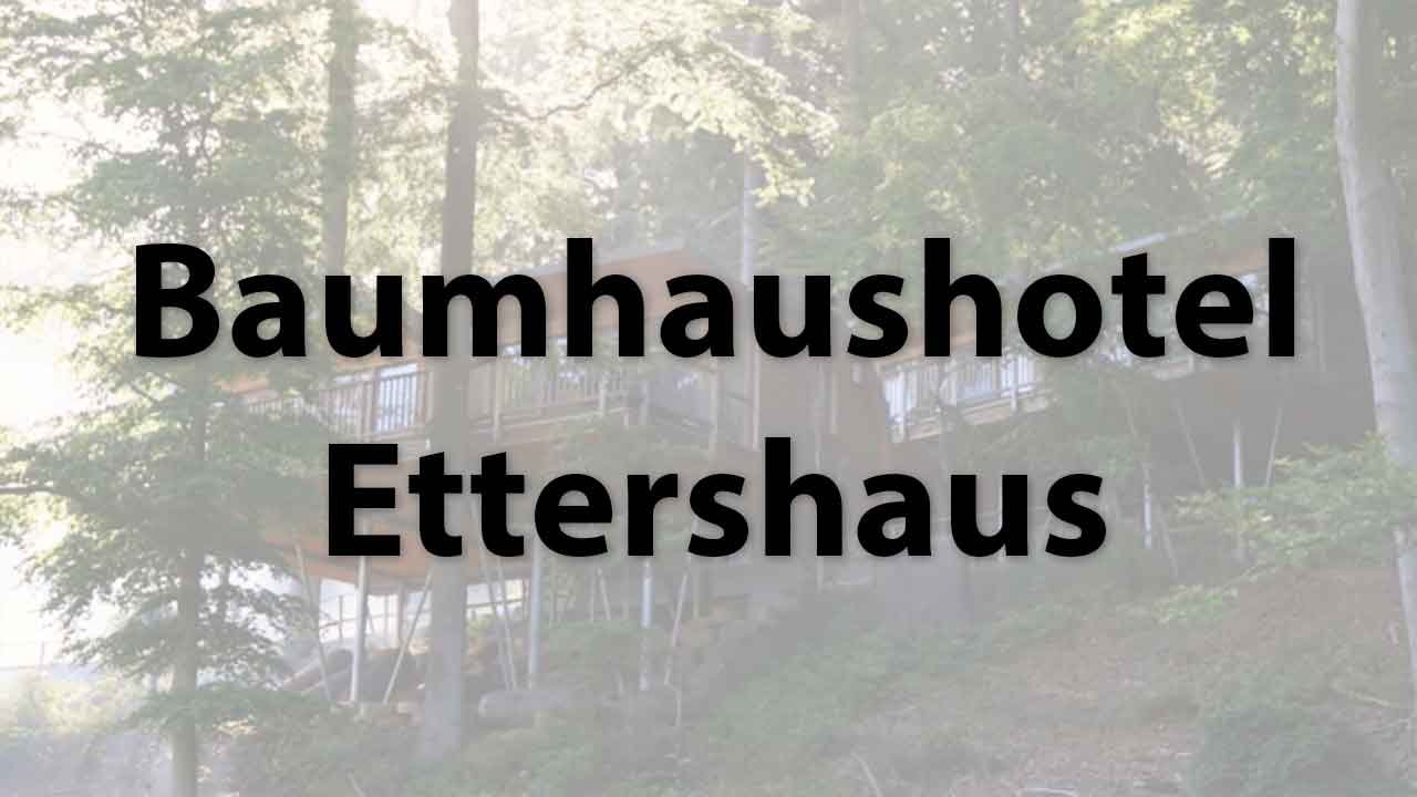 Baumhaushotel Ettershaus in Bad Harzburg im Sonnenresort