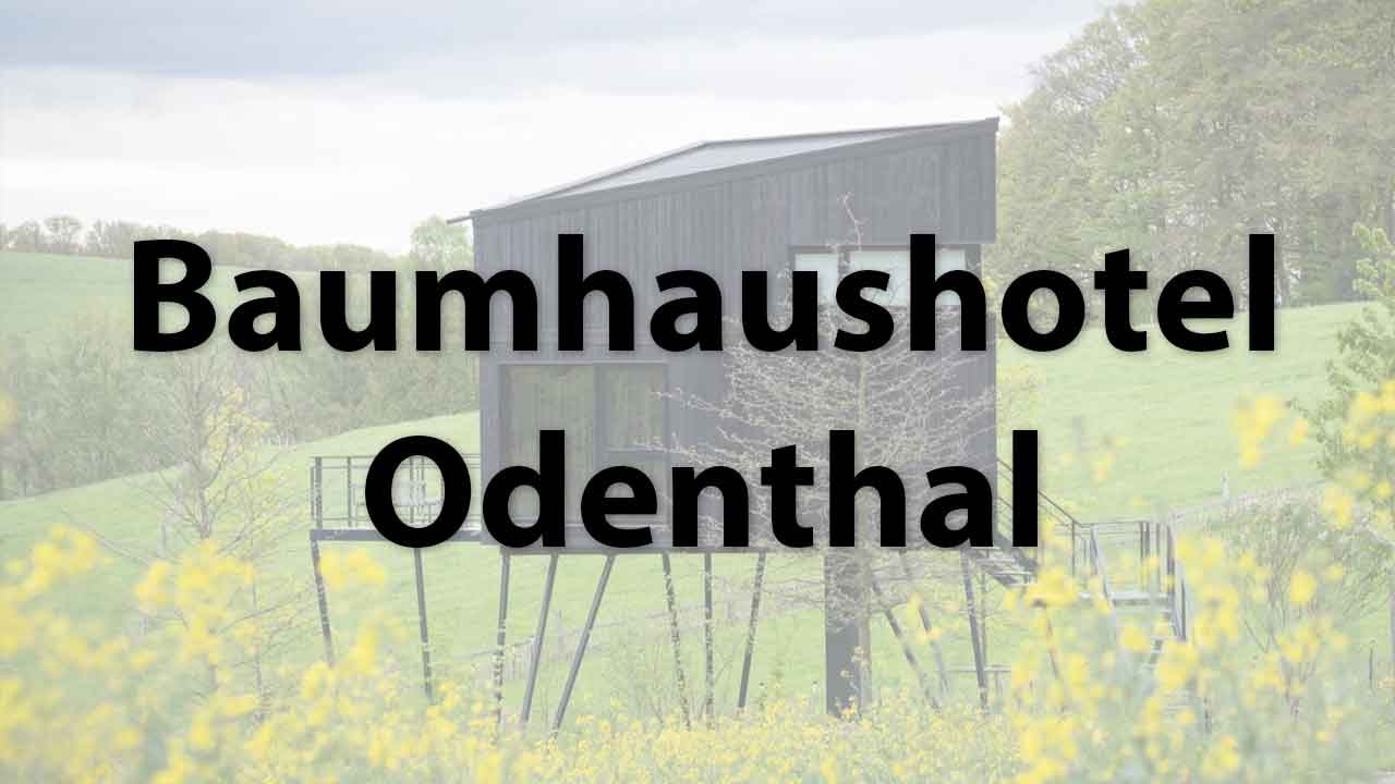 Baumhaushotel Odenthal in NRW
