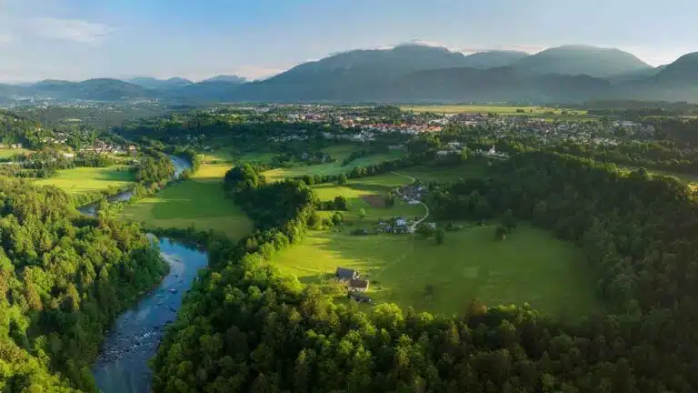 Baumhaushotels in Bayern