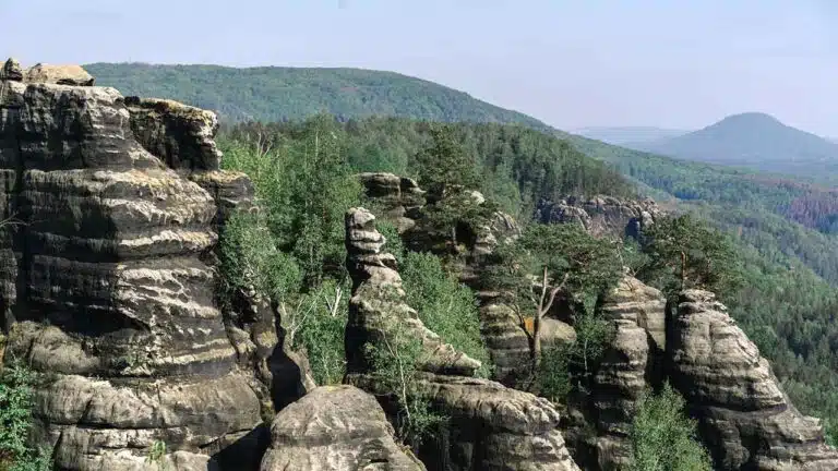 Baumhaushotels in Sachsen
