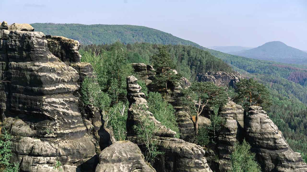 Baumhaushotels in Sachsen