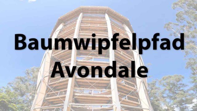 Baumwipfelpfad Avondale in Irland