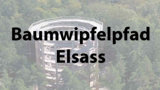 Baumwipfelpfad Elsass