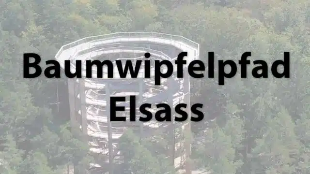 Baumwipfelpfad Elsass