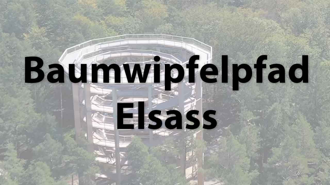 Baumwipfelpfad Elsass