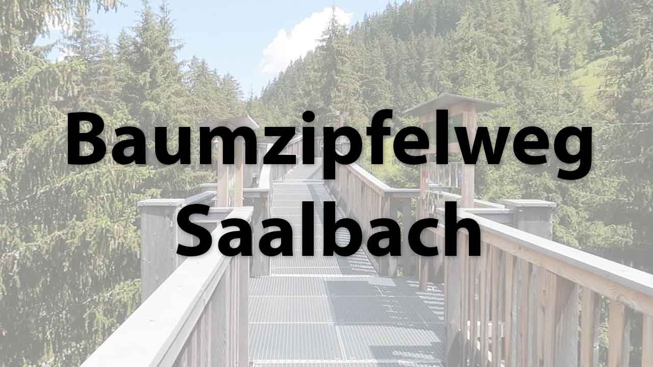 Baumzipfelweg Saalbach